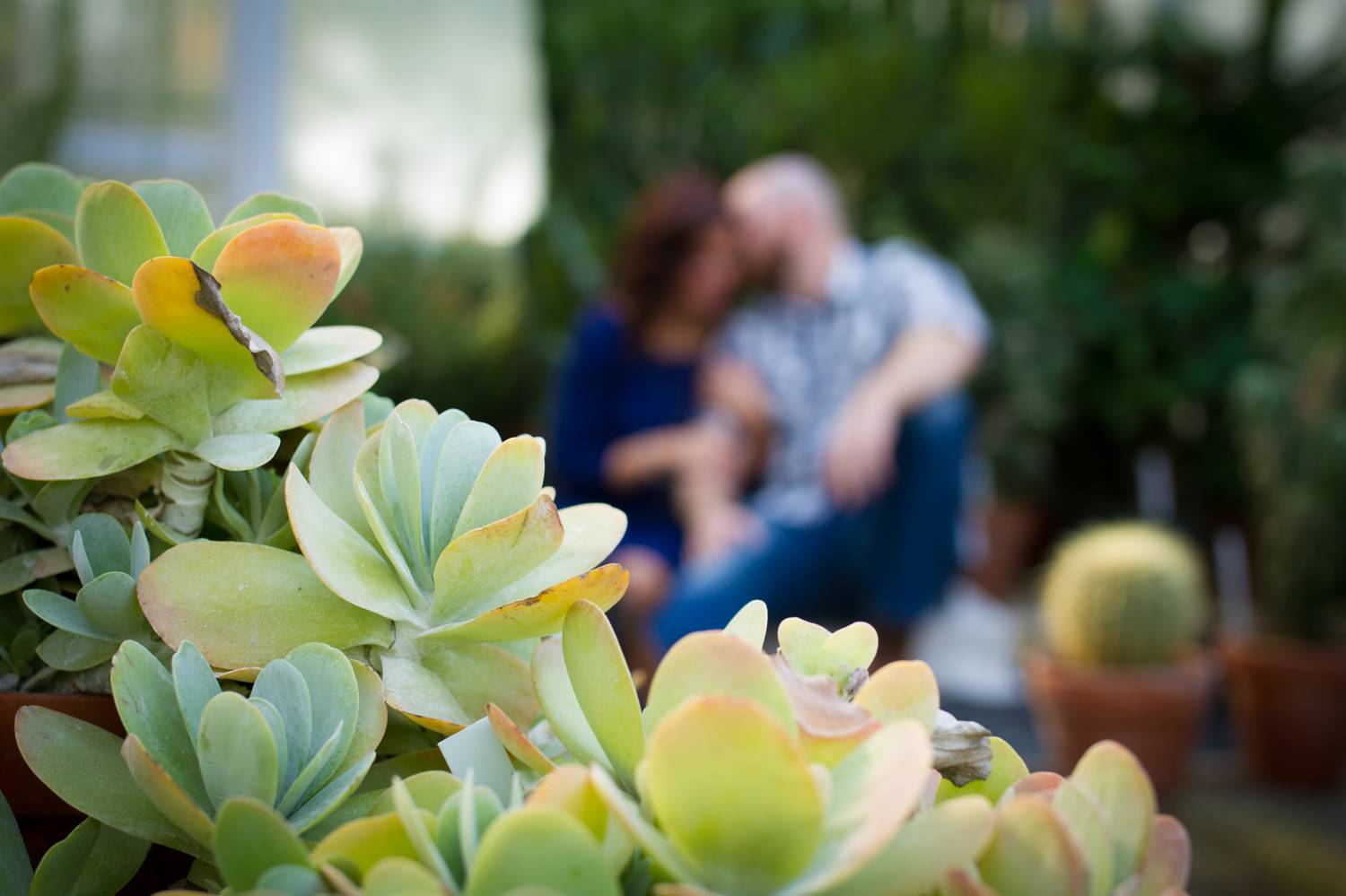  You guys. If you love house plants, cactus's, or succulents.. you've got to go to  Gilmore's Greenhouse  in Warren, Ohio. They have the best selection around, hands down! When Lindsay told me she wanted to get some shots here I was ON IT! I have som